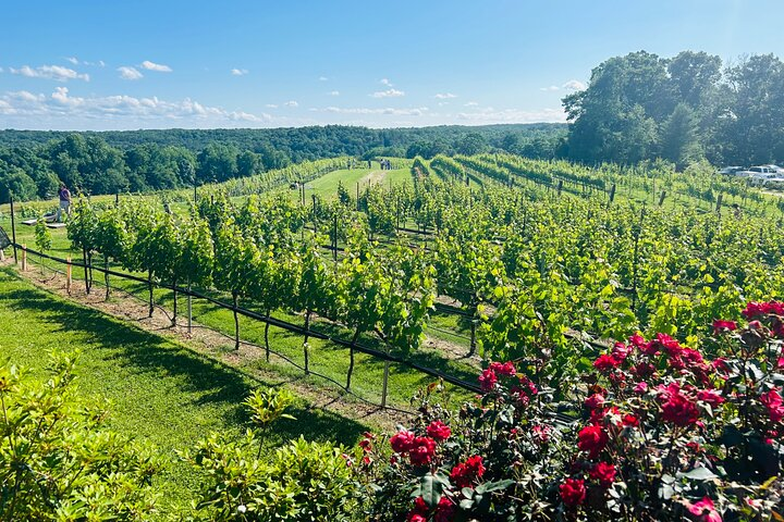 Dahlonega Wine & Dine Private Tour from Atlanta - Photo 1 of 19